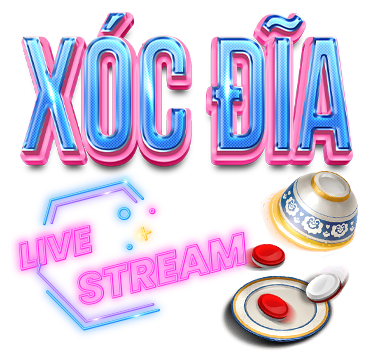 X&oacute;c đĩa lu88